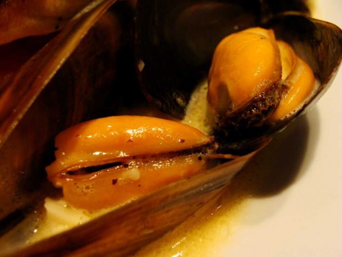 tn_20-signature-mussels-in-citrus-broth